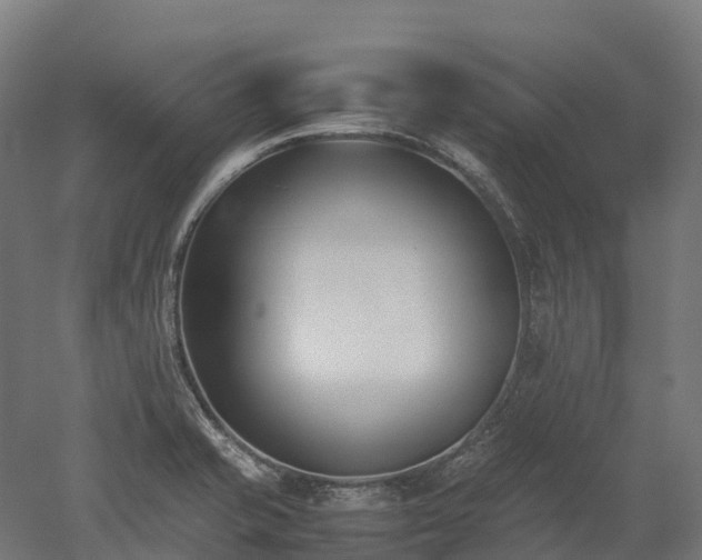 X0000052951421200507151657
