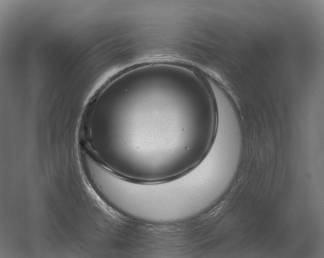 X0000052951422200507151657