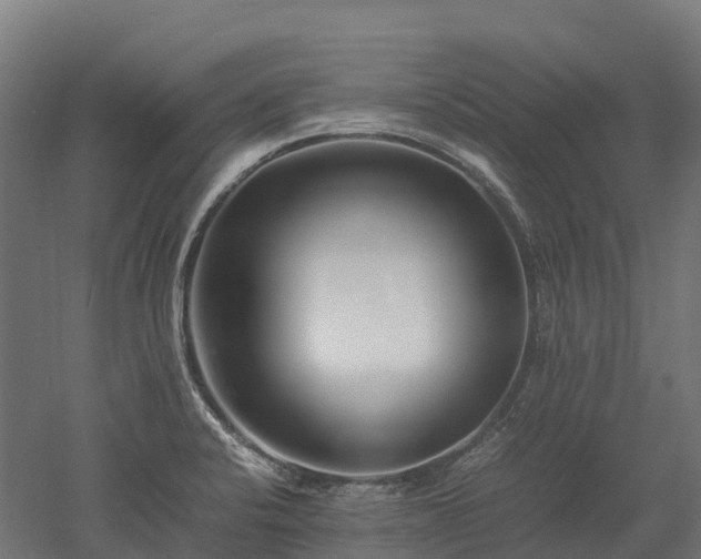 X0000052951424200507151657