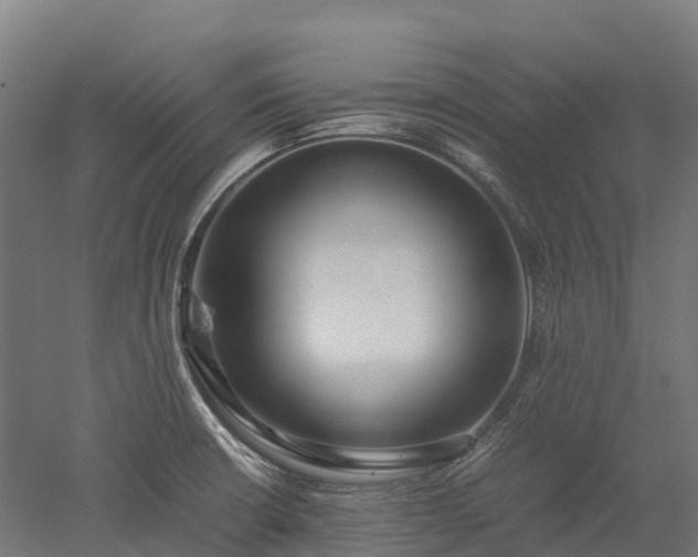 X0000052951426200507151657