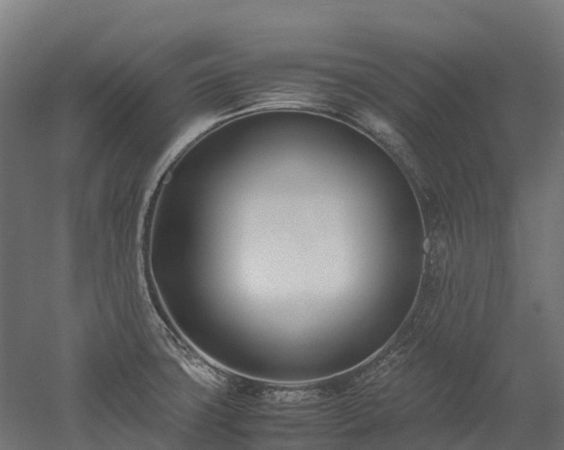 X0000052951427200507151657