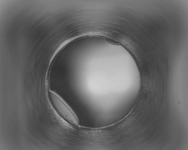 X0000052951428200507151657