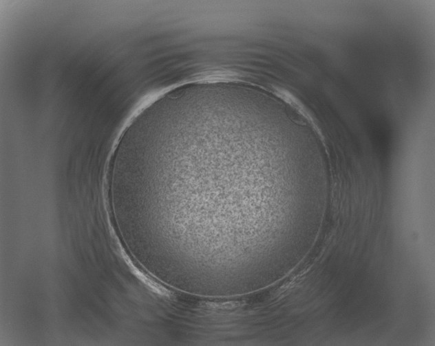 X0000052951429200507151657