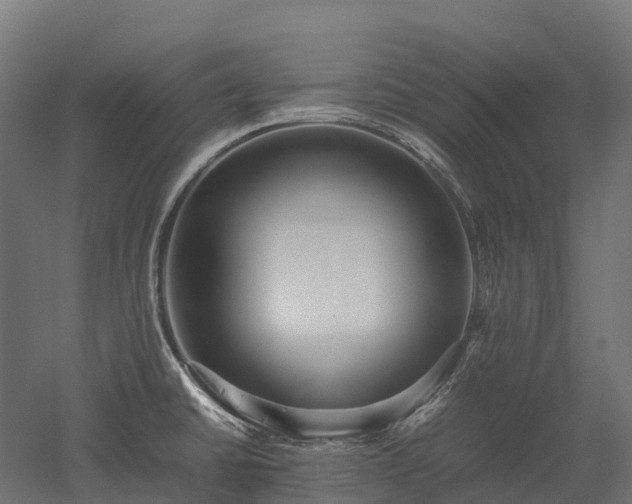 X0000052951430200507151657