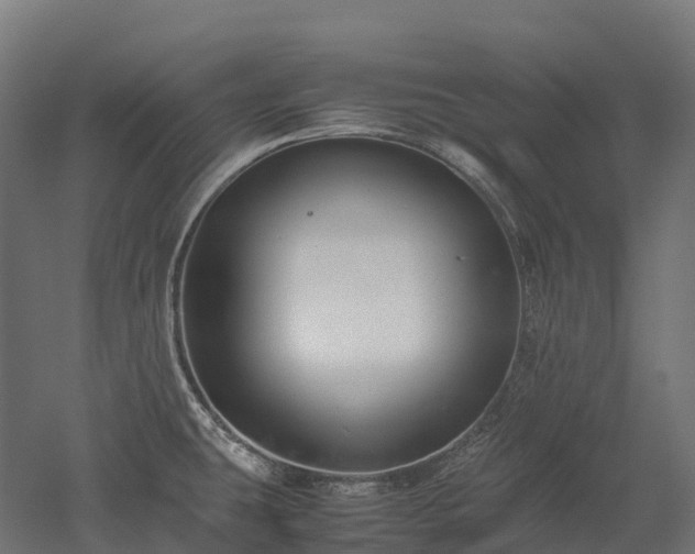 X0000052951431200507151657