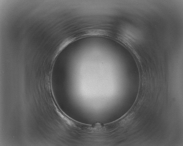 X0000052951433200507151657