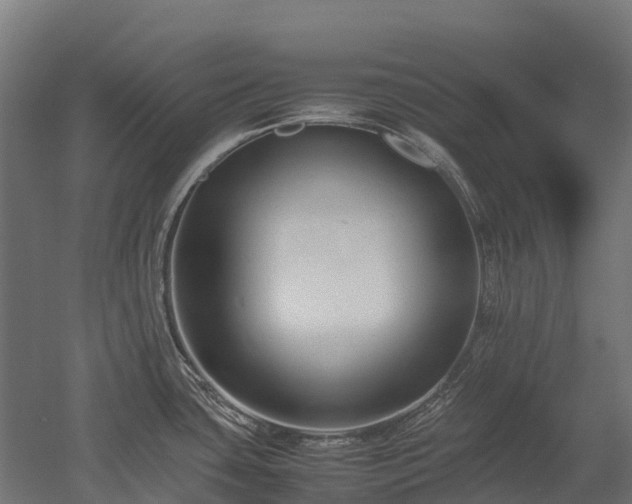 X0000052951435200507151657