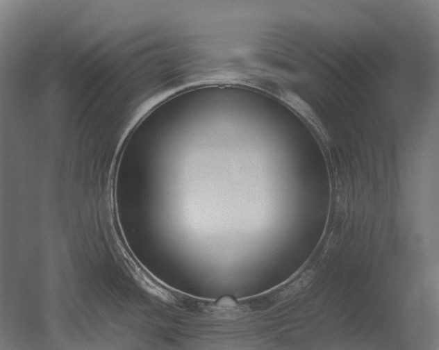X0000052951436200507151657