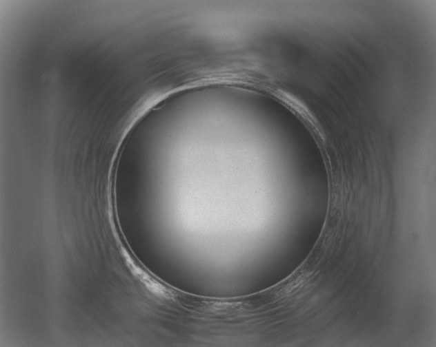 X0000052951439200507151658
