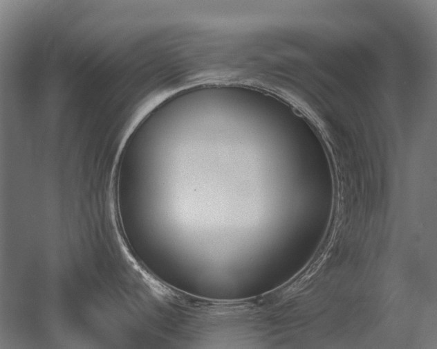 X0000052951440200507151658