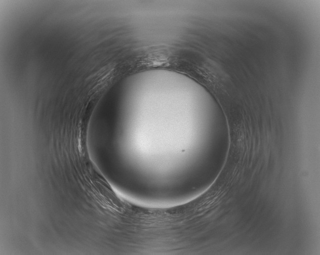 X0000052951442200507151657