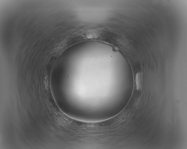 X0000052951443200507151657