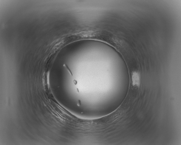 X0000052951444200507151657