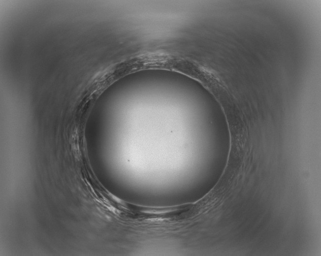 X0000052951445200507151657