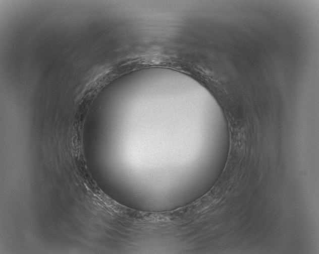 X0000052951446200507151657