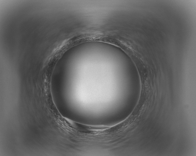 X0000052951447200507151657