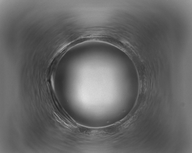 X0000052951449200507151657
