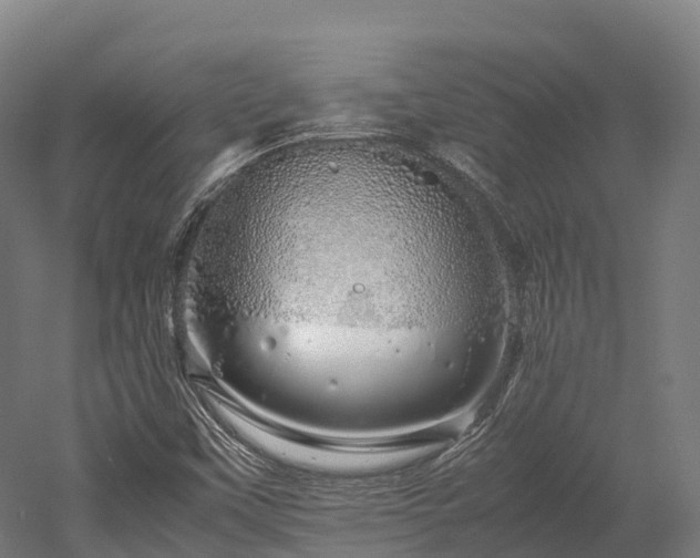 X0000052951451200507151657