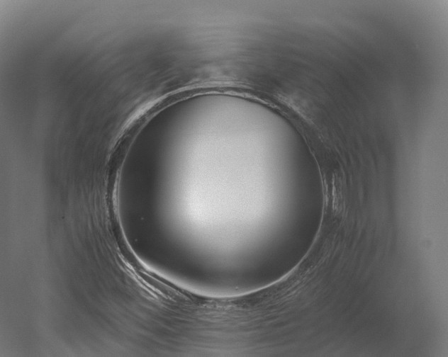 X0000052951452200507151657