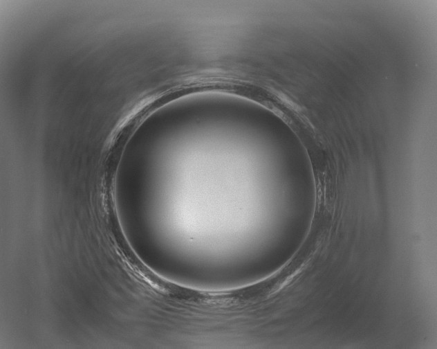 X0000052951453200507151657