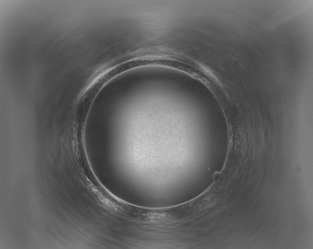 X0000052951456200507151656