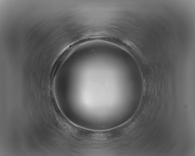 X0000052951457200507151656