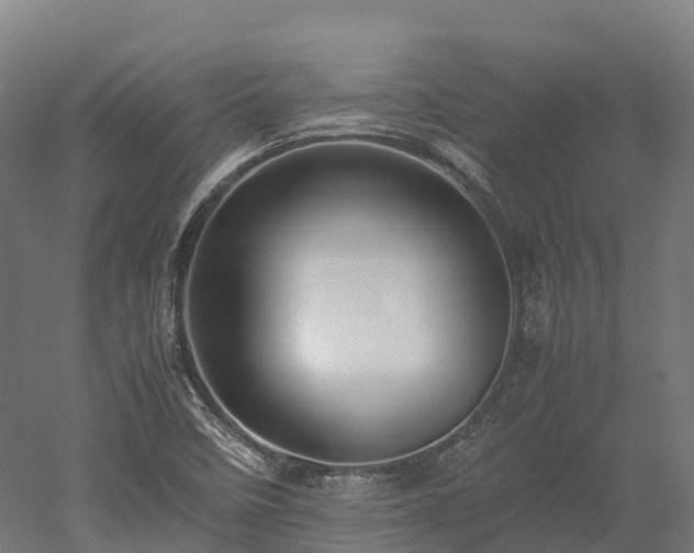 X0000052951458200507151656