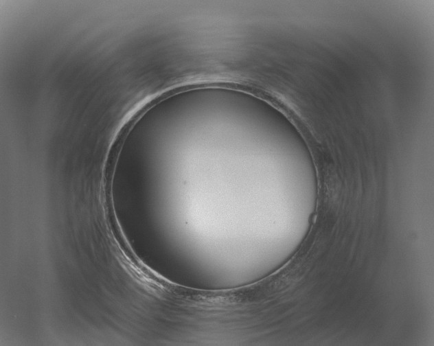 X0000052951460200507151656