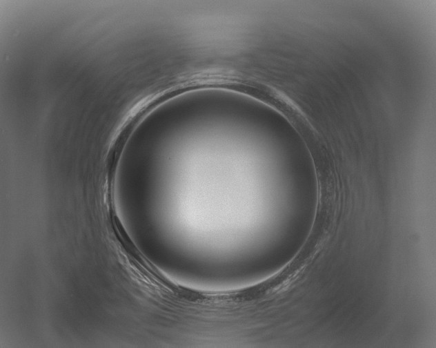 X0000052951461200507151656