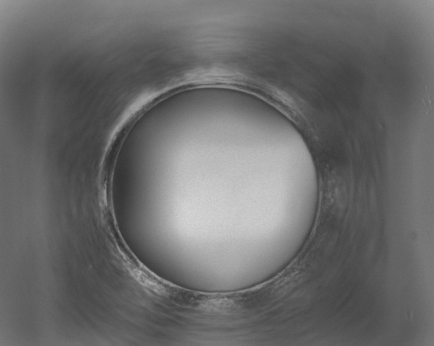X0000052951462200507151656