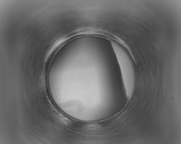 X0000052951464200507151656