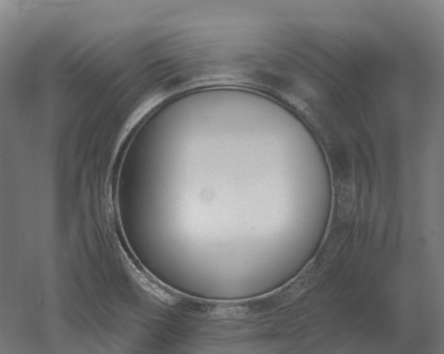 X0000052951466200507151656