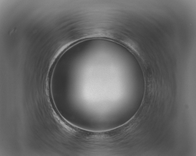 X0000052951468200507151656