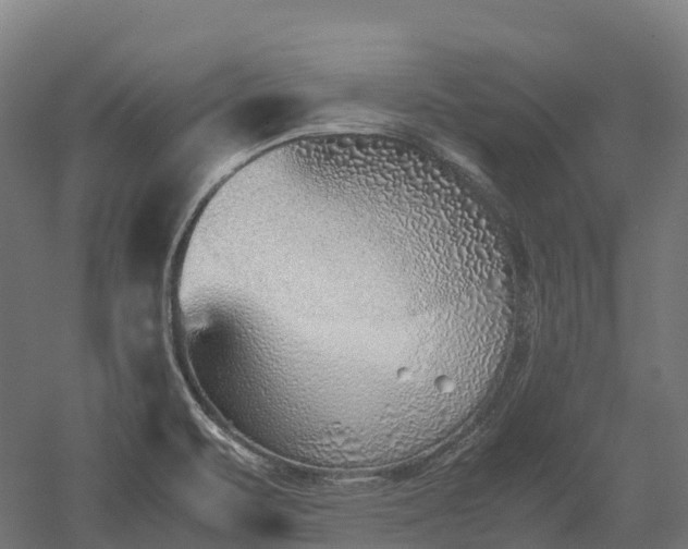 X0000052951471200507151656