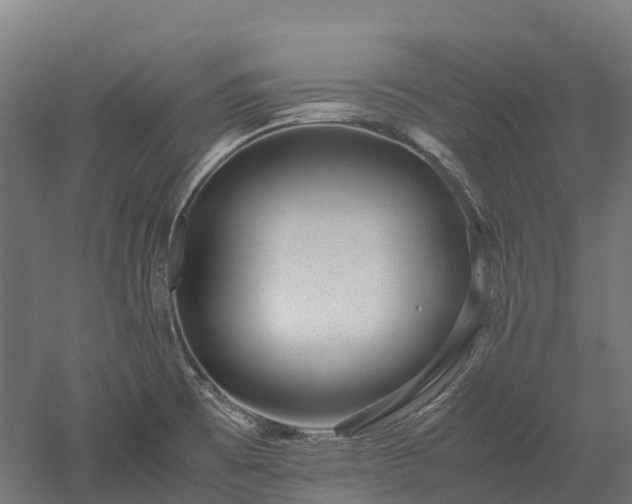 X0000052951473200507151656