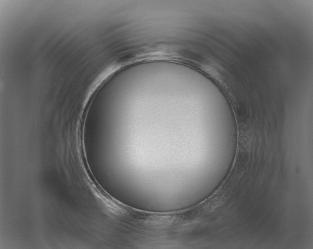 X0000052951474200507151656