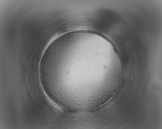 X0000052951475200507151656
