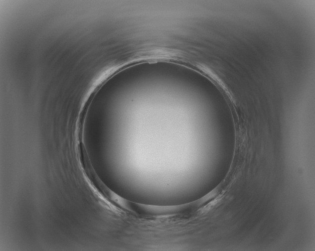 X0000052951477200507151656