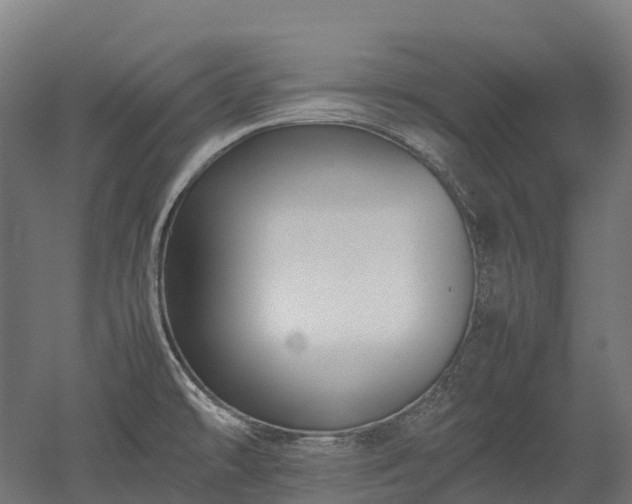 X0000052951478200507151656