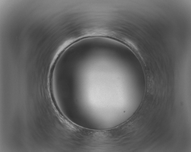 X0000052951480200507151656