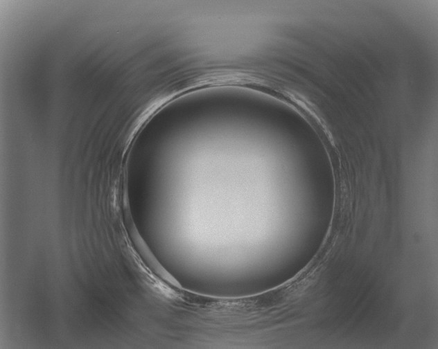 X0000052951481200507151656