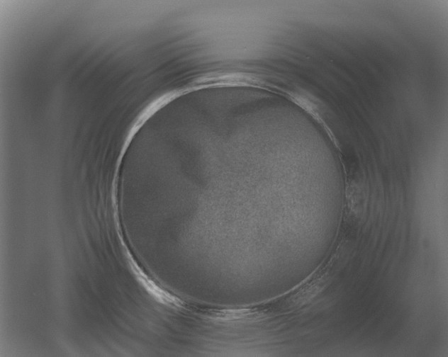 X0000052951482200507151656