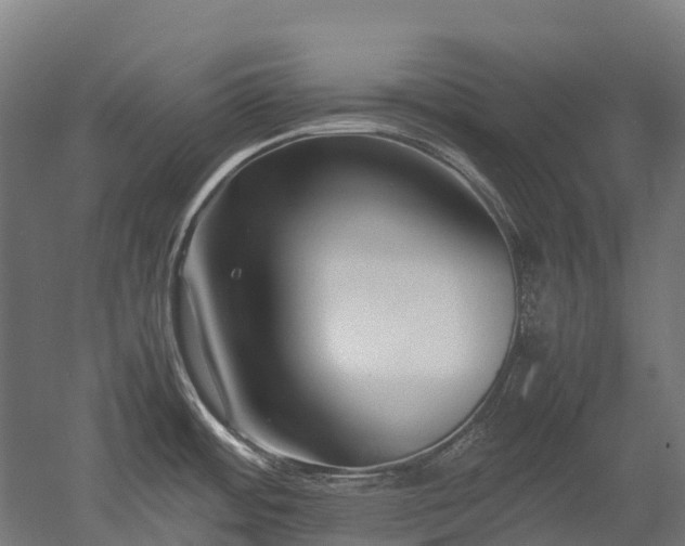 X0000052951484200507151656