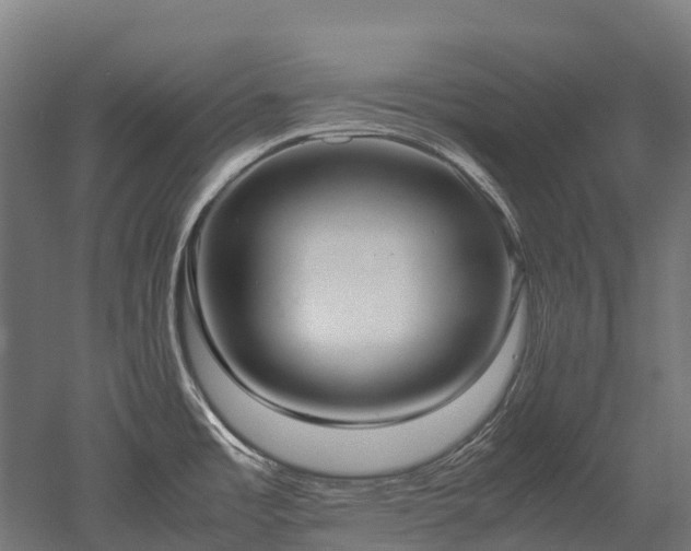 X0000052951485200507151656