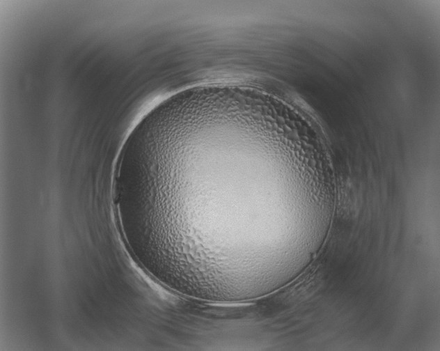 X0000052951487200507151656
