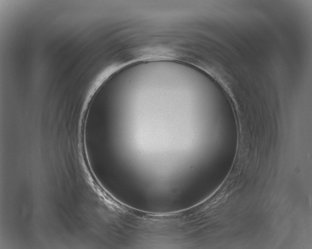 X0000052951488200507151656