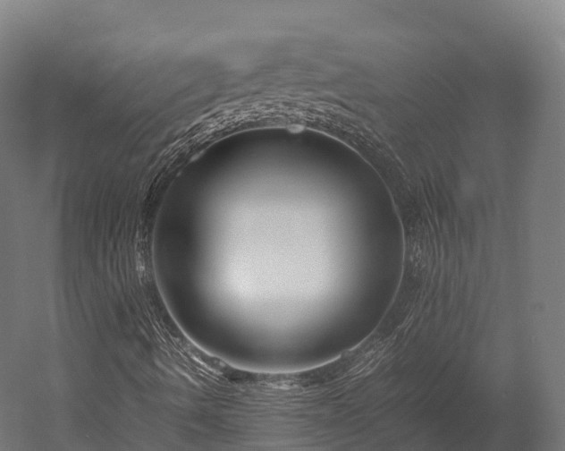 X0000052951490200507151655