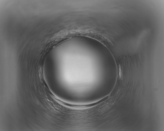 X0000052951492200507151655