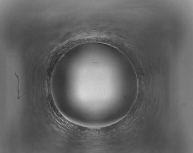 X0000052951493200507151655