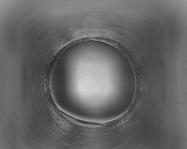 X0000052951497200507151655